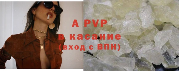 хмурый Новозыбков