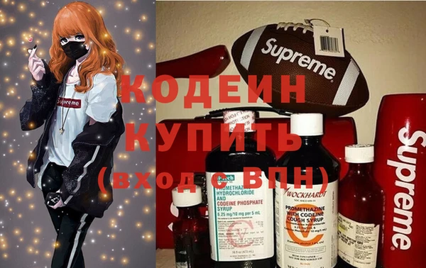 хмурый Новозыбков