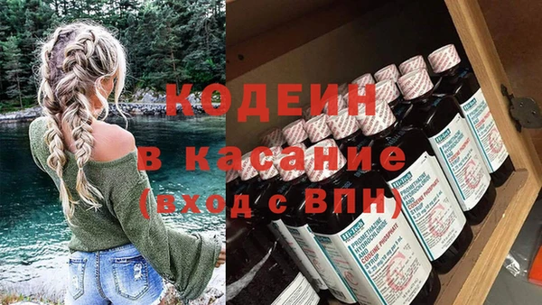 хмурый Новозыбков