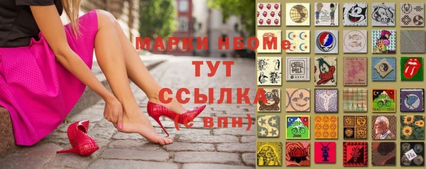 хмурый Новозыбков