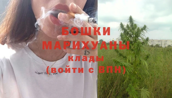 хмурый Новозыбков