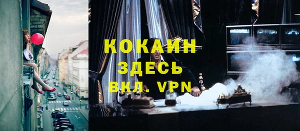 хмурый Новозыбков