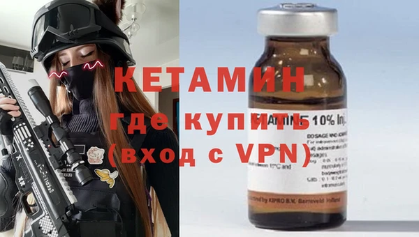 хмурый Новозыбков