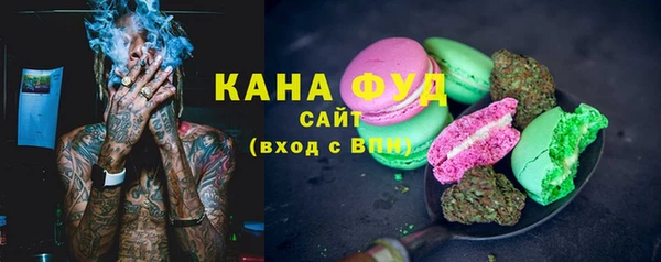 хмурый Новозыбков