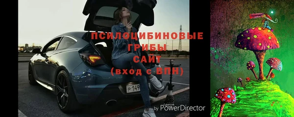 хмурый Новозыбков