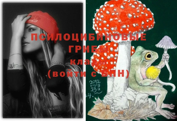 МДПВ Новодвинск