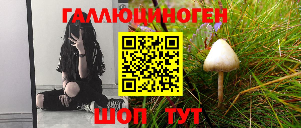 Псилоцибиновые грибы Psilocybine cubensis  Галлюциногенные грибы прущие грибы  Вход с VPN  Стрежевой 